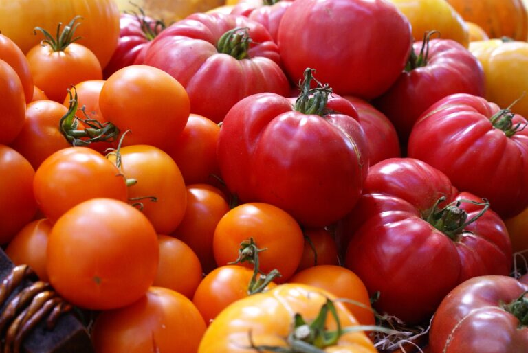 Makrobiotička ishrana