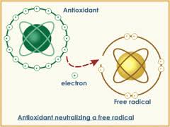 Antioxidants