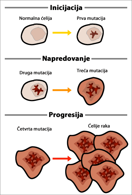 Kako nastaje rak?