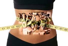 Šta nismo znali o metabolizmu?