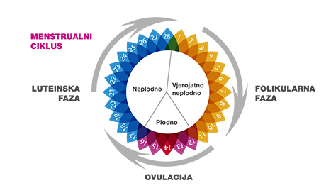 Menstrualni ciklus