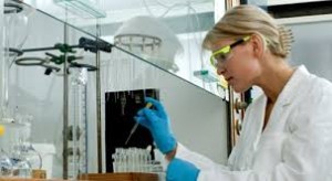 lab