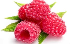 Lekovita svojstva maline