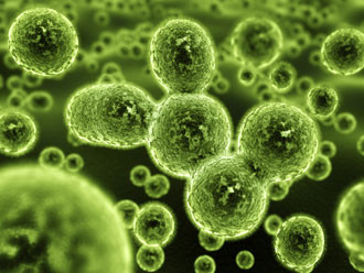 Kako da prepoznate da vam je telo puno gljivica