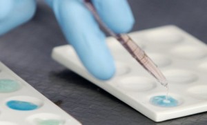 341732_laboratorija--foto-reuters_f