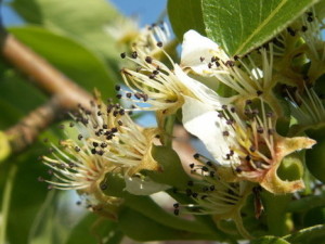 FkJPrNdDHVv47rVFPF4eZjl72eJkfbmt4t8yenImKBVvK0kTmF0xjctABnaLJIm9