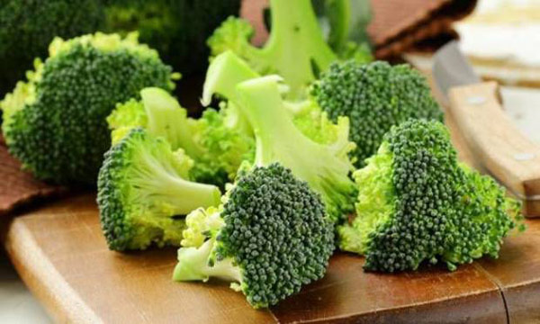 Najdelotvorniji čuvari vaših kostiju