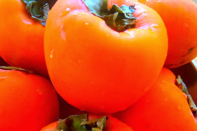 Biljka sa neverovatno lekovitim svojstvima