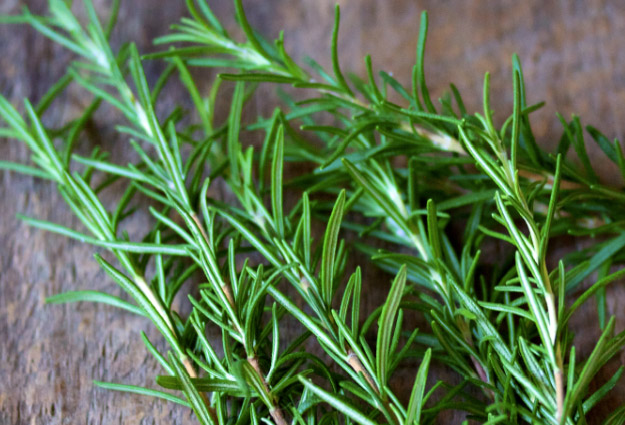 Evo šta se dešava u organizmu ukoliko samo mirišete ruzmarin!