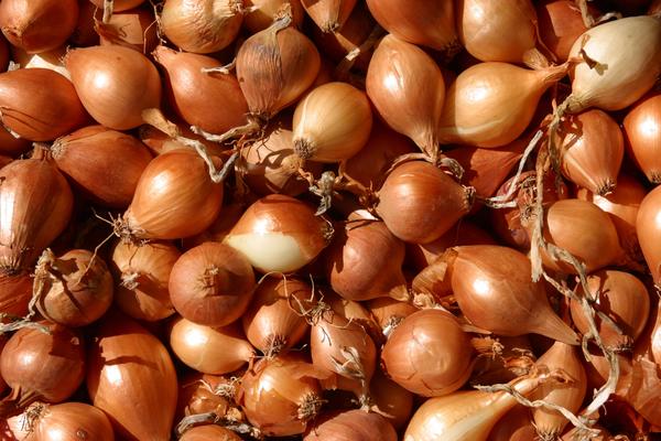 Uticaj luka na zdravlje