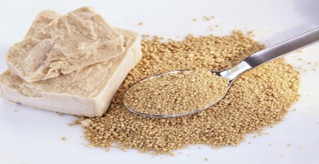 Zdravstvene prednosti kvasca