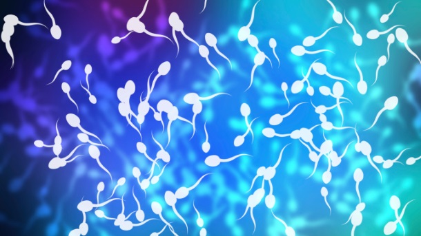 Kvalitet spermatozoida zavisi od ove namirnice