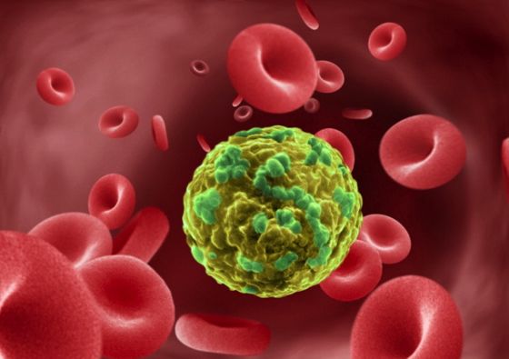 Ne koristite ovu namirnicu a evo i zašto