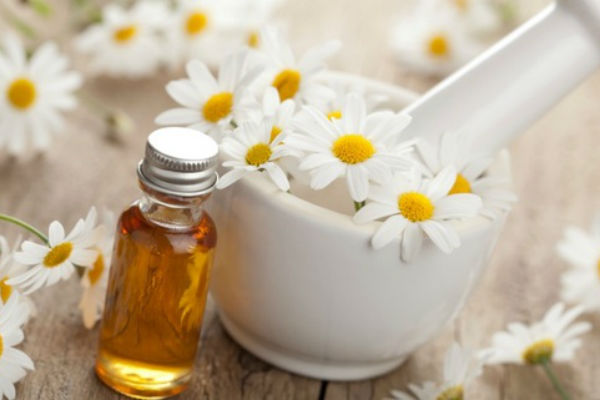 NAPRAVITE SAMI: ULJE OD KAMILICE ODLIČNO KOD REUME, TEMPERATURE I ZA NJEGU KOŽE: POGLEDAJTE