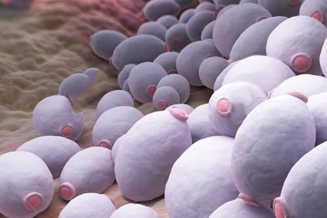 Simptomi nespecifične infekcije vulve