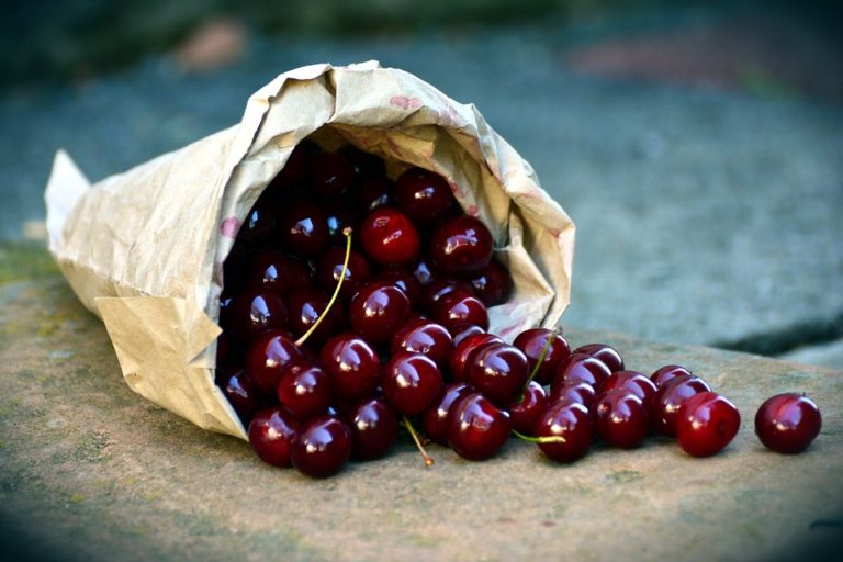 Nemojte bacati peteljke od trešanja a ovo su razlozi i zašto