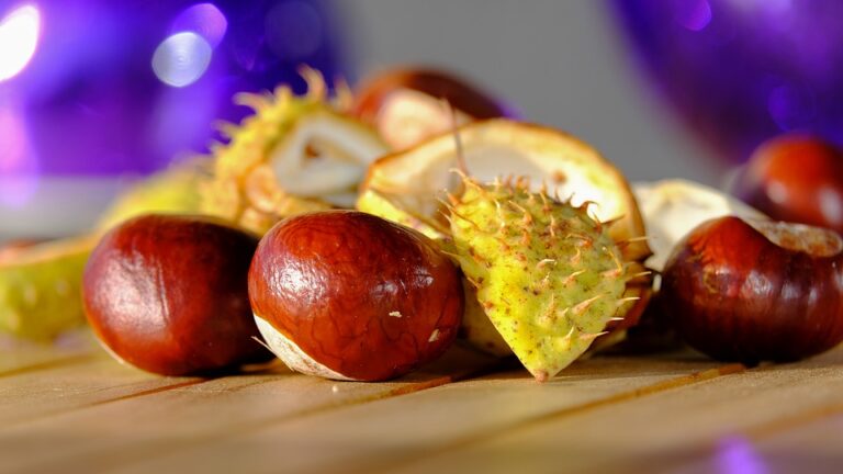 Saznajte sve o zdravstvenim prednostima kestena