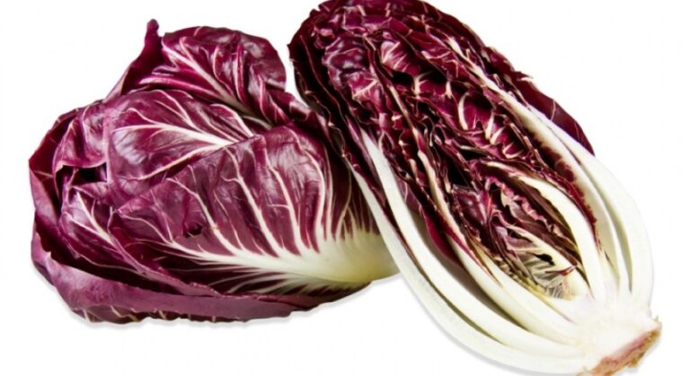 Radič- lekovita biljka