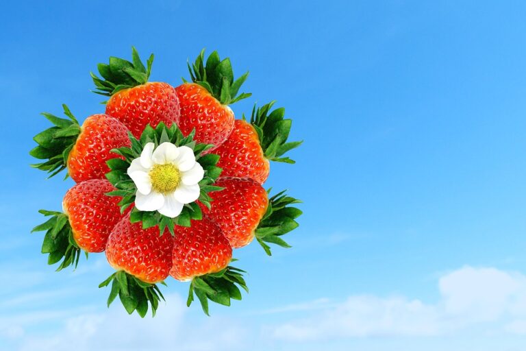 Razlozi zbog kojih treba da jedete jagode