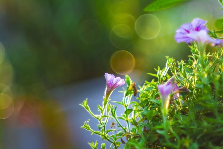 Sprečite asmatične napade leti uz ove savete