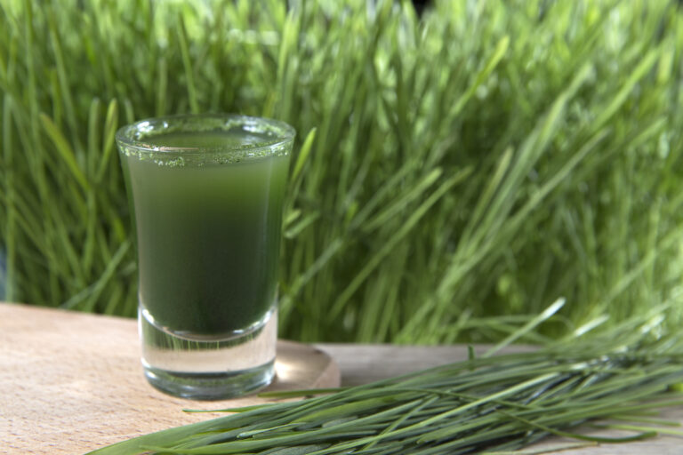 Zašto koristiti baš zamrznuti sok od spelte