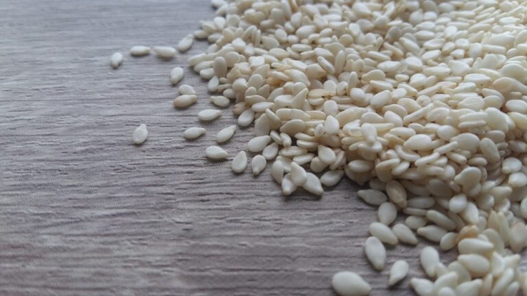 Evo zašto nutricionisti preporučuju susam
