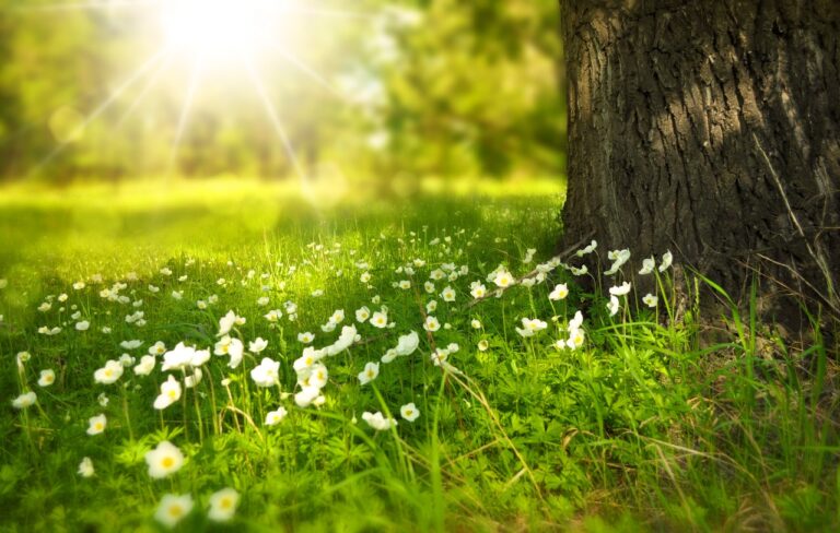 Alergija na sunce